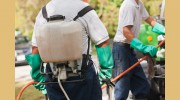 Morse Termite & Pest Control