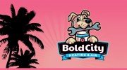 Bold City Heating & Air