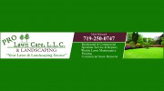 Pro Lawn Care & Landscaping