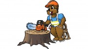 Bailey Tree Care