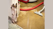 Zimax Water, Fire & Mold Restoration