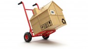Packer Up Moving