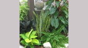 Knollwood Garden Center & Landscaping