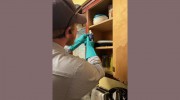 Sierra Vista Exterminators