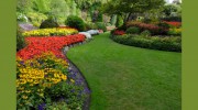 Affordable Landscaping