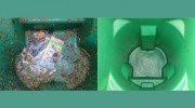 Bin Medics Trash Bin Cleaning Service