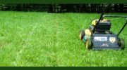Low Desert Lawn Care