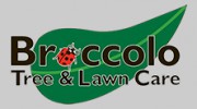 Broccolo Tree & Lawn Care