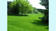 Greener Alternative