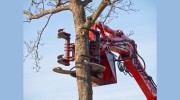 Rancho Cordova Tree Service