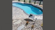 Adam's Lawn & Landscaping