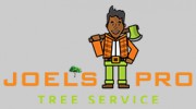 Joels Pro Tree Service Of Centerville