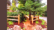 Plan It Landscapes