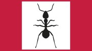 Action Pest Services