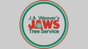 J A Weaver's Jaws Tree Service