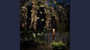 Firefly Landscape Lighting