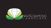White Diamond Landscape