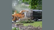Carmichael's Tree Service