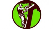 Kansas City Tree Removal