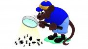 Willard's Pest Control