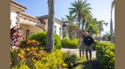 Tropical Gardens Landscape