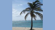 Coastal Cleaning
