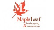 Maple Leaf