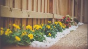 Atlanta Landscaping