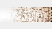 Rappoport Development Consulting Services