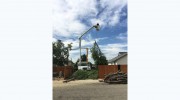 Climbing Sammy's Tree Service