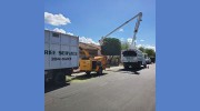 Finest Tree Service
