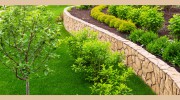 DM Landscaping & Design