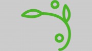 Beanstalk Home Improvements