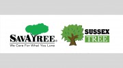 Sussex Tree