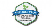 The Mold Pros