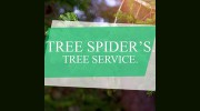 Tree Spider's Tree Service