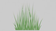 Fresh Lawn Care