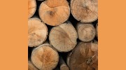 SCR Tree Services