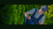 Affordable Landscaping & Tree Trimming