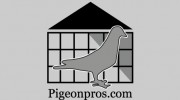 Ideal Pest Control