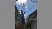 Good People Tree Service