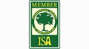 Treeline Tree Service
