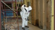 Mold Remediation Pro's