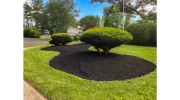My Landscaping