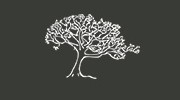 Silver Maple Construction