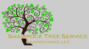 Shamrock Tree Service
