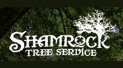 Shamrock Tree Service