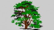 Evansville Tree Service