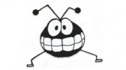 Allegheny Pest Control