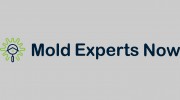 Mold Experts Now